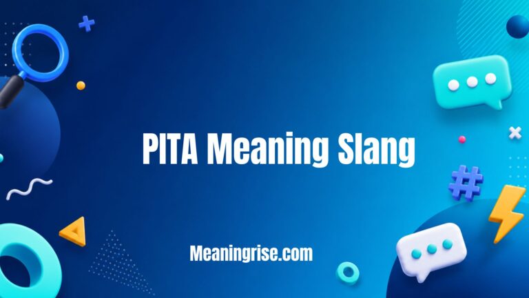 PITA meaning in slang explained with definition, examples, and text message usage