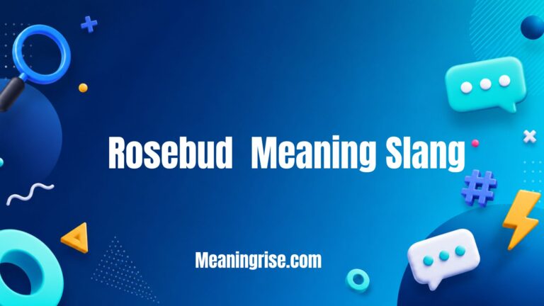 Rosebud meaning in slang explained with definition, online usage, examples, and social media context.