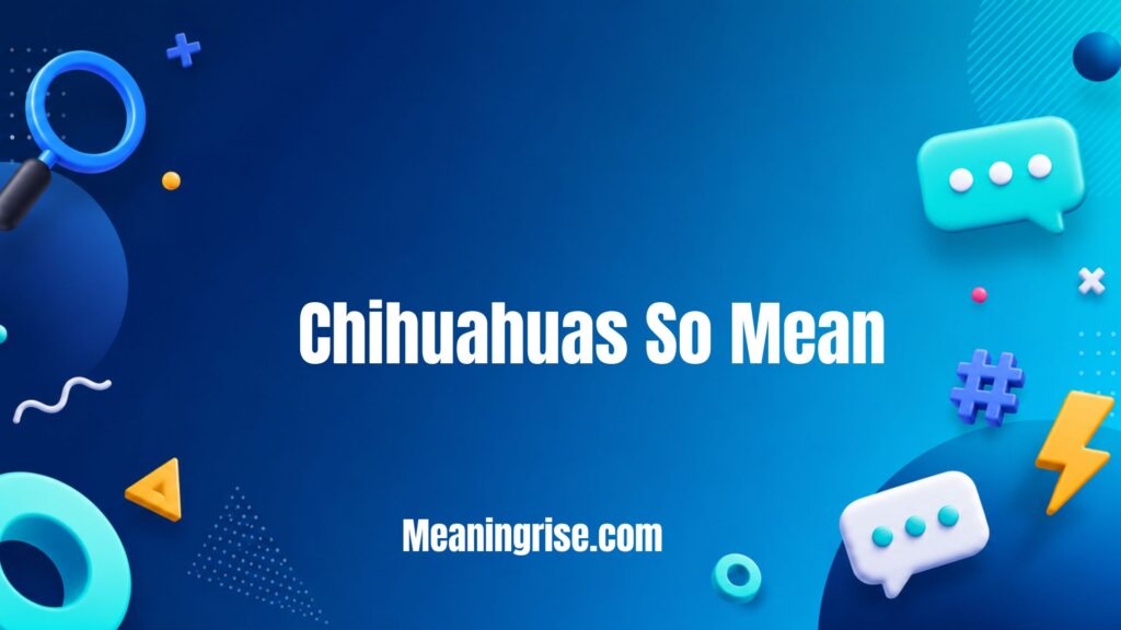 Illustration explaining why Chihuahuas so mean, covering common behavioral reasons such as fear, protectiveness, poor socialization, and their bold personality.