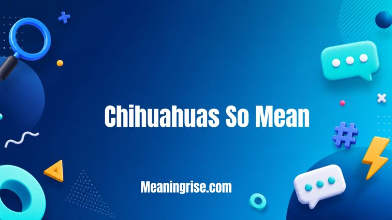 Illustration explaining why Chihuahuas so mean, covering common behavioral reasons such as fear, protectiveness, poor socialization, and their bold personality.
