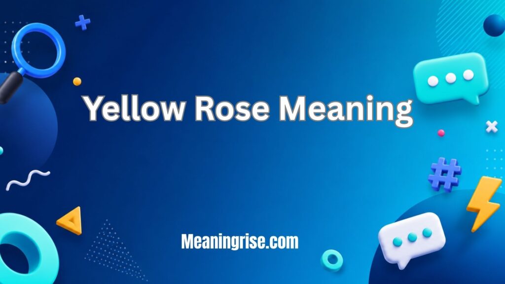 Yellow Rose Meaning explained with a beautiful yellow rose symbolizing friendship, happiness, joy, warmth, positivity, and heartfelt affection
